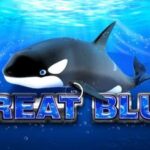 สล็อต 88 เว็บตรง Great Blue: 5 วิธีรวยด้วยกลยุทธ์ลับสุดยอด 3 Great Blue 2 web 2 Auto Slot PG .com เว็บตรง สล็อต PG อันดับ 1 ฝากถอนออโต้ มั่นคง ปลอดภัย