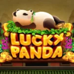 slot casino online: 5 กลยุทธ์ลับคว้าโบนัสแพนด้าสูงสุด 3 Lucky Panda 1 web 1 Auto Slot PG .com เว็บตรง สล็อต PG อันดับ 1 ฝากถอนออโต้ มั่นคง ปลอดภัย