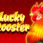 สล็อต easy 7 กลยุทธ์ลับระดับ Masterclass โกยกำไรมหาศาลปี 2026 3 Lucky Rooster 3 web 3 Auto Slot PG .com เว็บตรง สล็อต PG อันดับ 1 ฝากถอนออโต้ มั่นคง ปลอดภัย