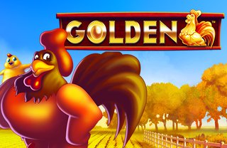 golden rooster 1 web 1 Auto Slot PG .com เว็บตรง สล็อต PG อันดับ 1 ฝากถอนออโต้ มั่นคง ปลอดภัย