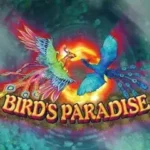 Bird Paradise รีวิว: เจาะลึกเทคนิคพิชิตเกมบน สล็อต 88 เว็บตรง 3 Bird Paradise 1 web 1 Auto Slot PG .com เว็บตรง สล็อต PG อันดับ 1 ฝากถอนออโต้ มั่นคง ปลอดภัย