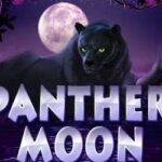 Panther Moon 1 web 1 Auto Slot PG .com เว็บตรง สล็อต PG อันดับ 1 ฝากถอนออโต้ มั่นคง ปลอดภัย