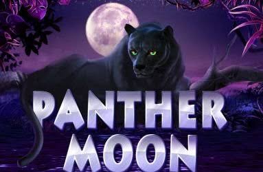 Panther Moon 1 web 1 Auto Slot PG .com เว็บตรง สล็อต PG อันดับ 1 ฝากถอนออโต้ มั่นคง ปลอดภัย